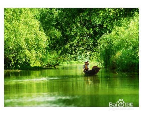 杭州西溪湿地自助游攻略
