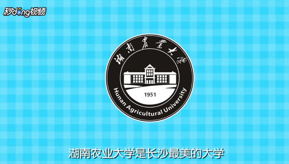 如何尽兴的在长沙旅游各个景点?