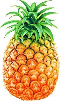 教您如何消除新房装修后的异味