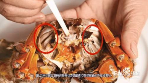 随后再用剪刀把螃蟹多余的蟹嘴和蟹肺剪掉并去掉蟹心.