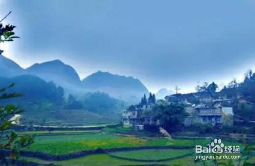 贵州有哪些好玩的地方