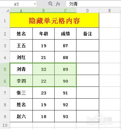 Excel表格中如何隐藏单元格内容