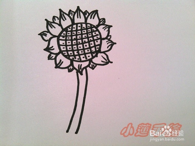 油画棒植物篇3向日葵