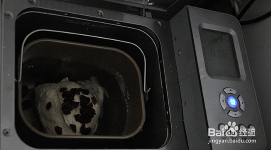 莜面蔓越莓软欧