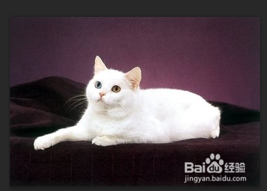 在ps中几种抠图的方法