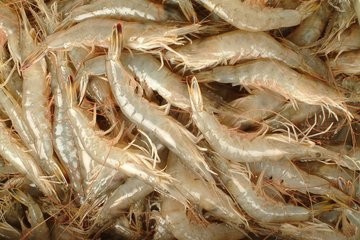 关节炎患者不宜吃的四类食物