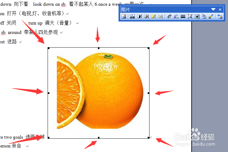 怎样在WORD里配图并且调整图片
