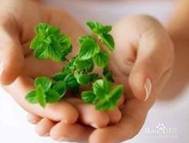 慢性肺心病急性加重期最关键的地方在于什么