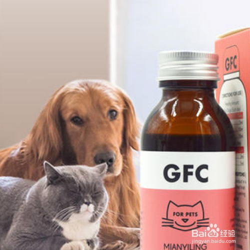 营养液是浇根部还是喷叶面