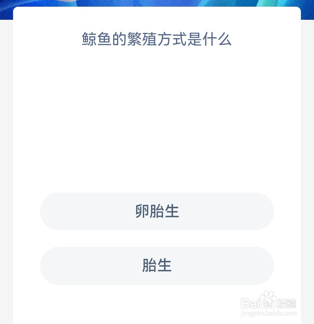 鲸鱼的繁殖方式是什么神奇海洋