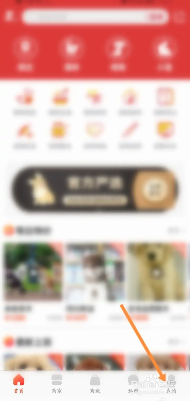 宠物市场app新的收货地址如何创建