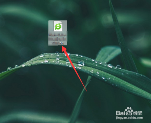 Flash Video Downloader怎么用 百度经验 Flash Video Downloader怎么用 百度经验