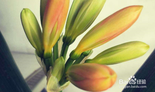 寒假开学应该怎么制定学习计划