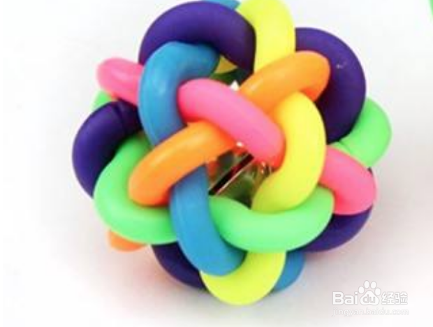 狗狗老乱咬家里东西怎么纠正