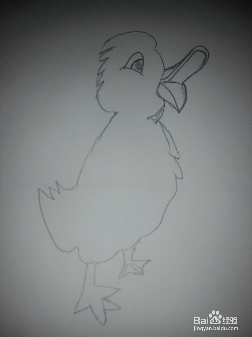 鸭子的卡通画法