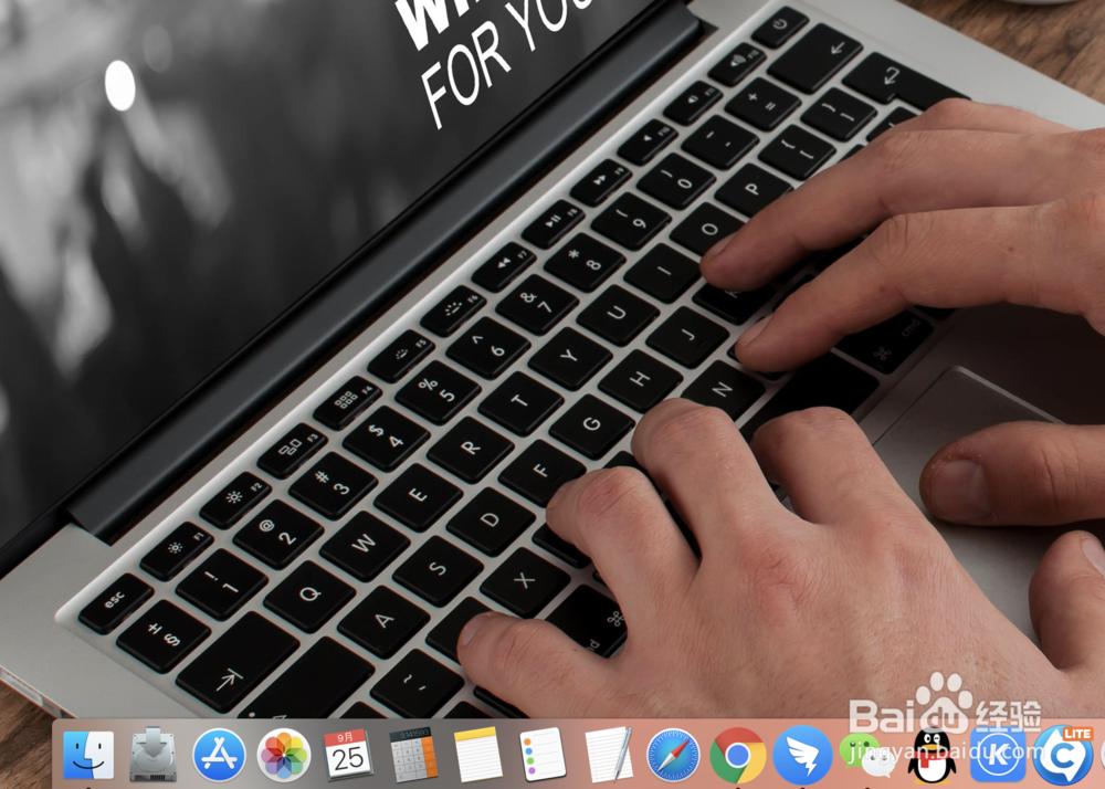 苹果系统的任务管理器在哪里?