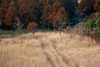 毕业生办理报道时应注意的一些事情