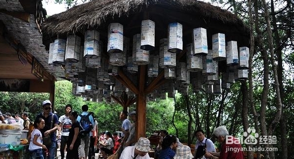 金华到张家界自驾游