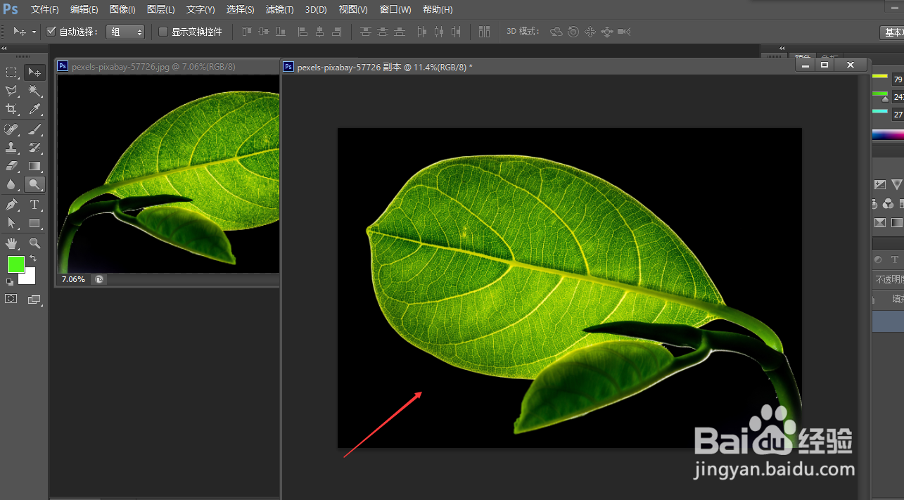 ps如何将图像水平翻转。
