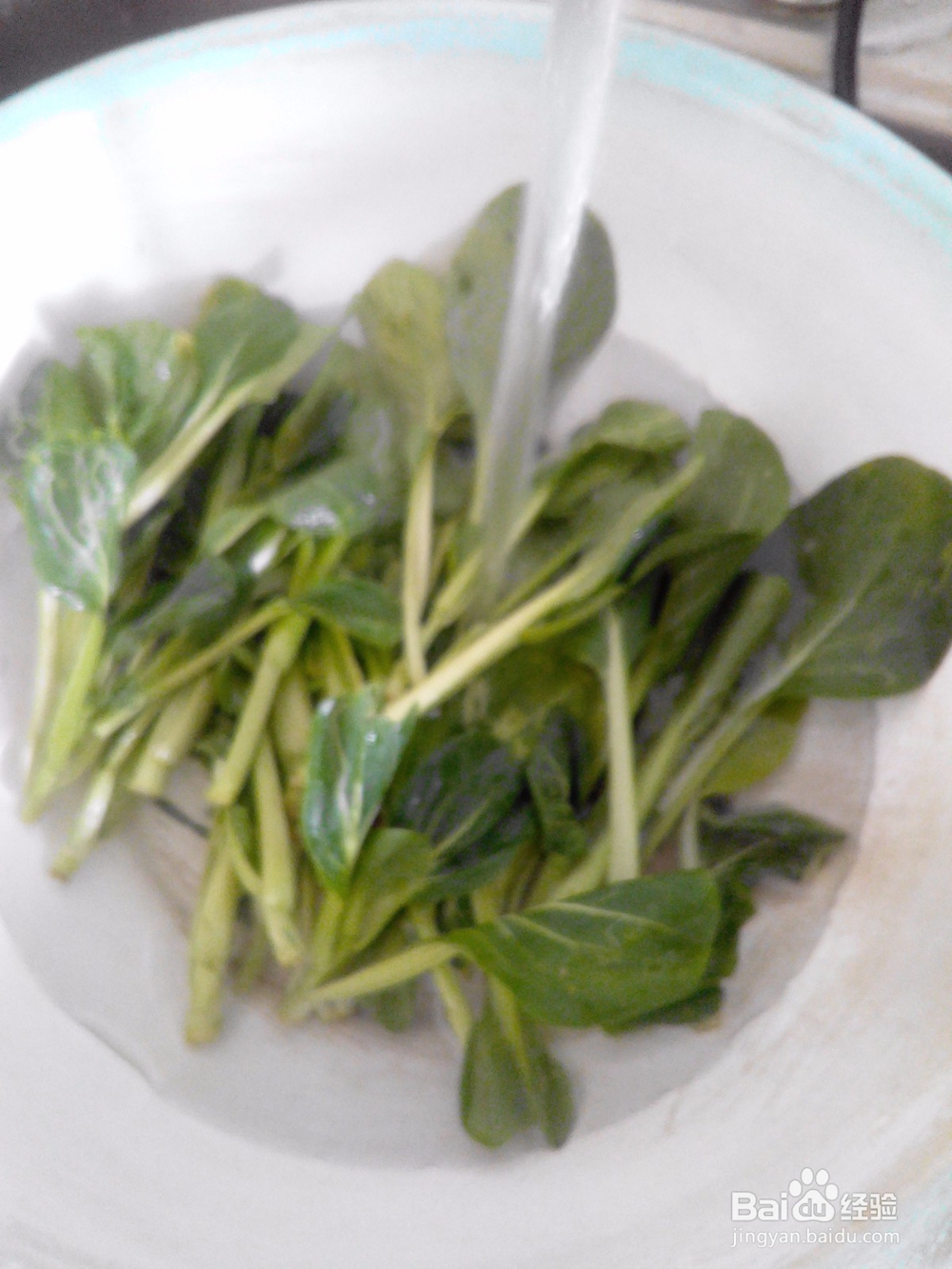 香菇烧油菜的简易做法