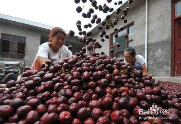硫磺枣怎么识别