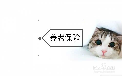 五险一金是什么