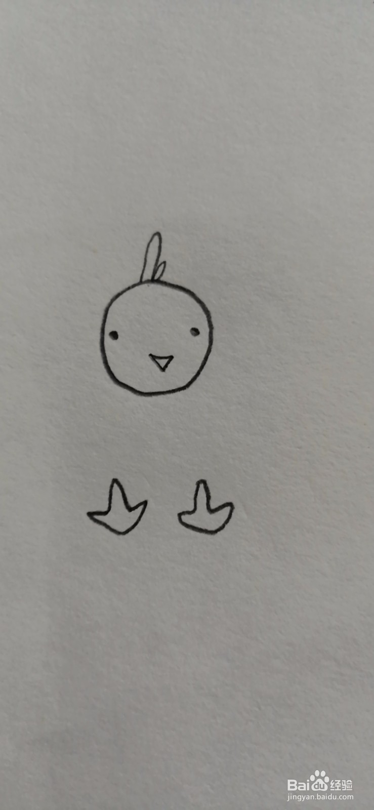 简笔画-可爱卡通小鸡简笔画
