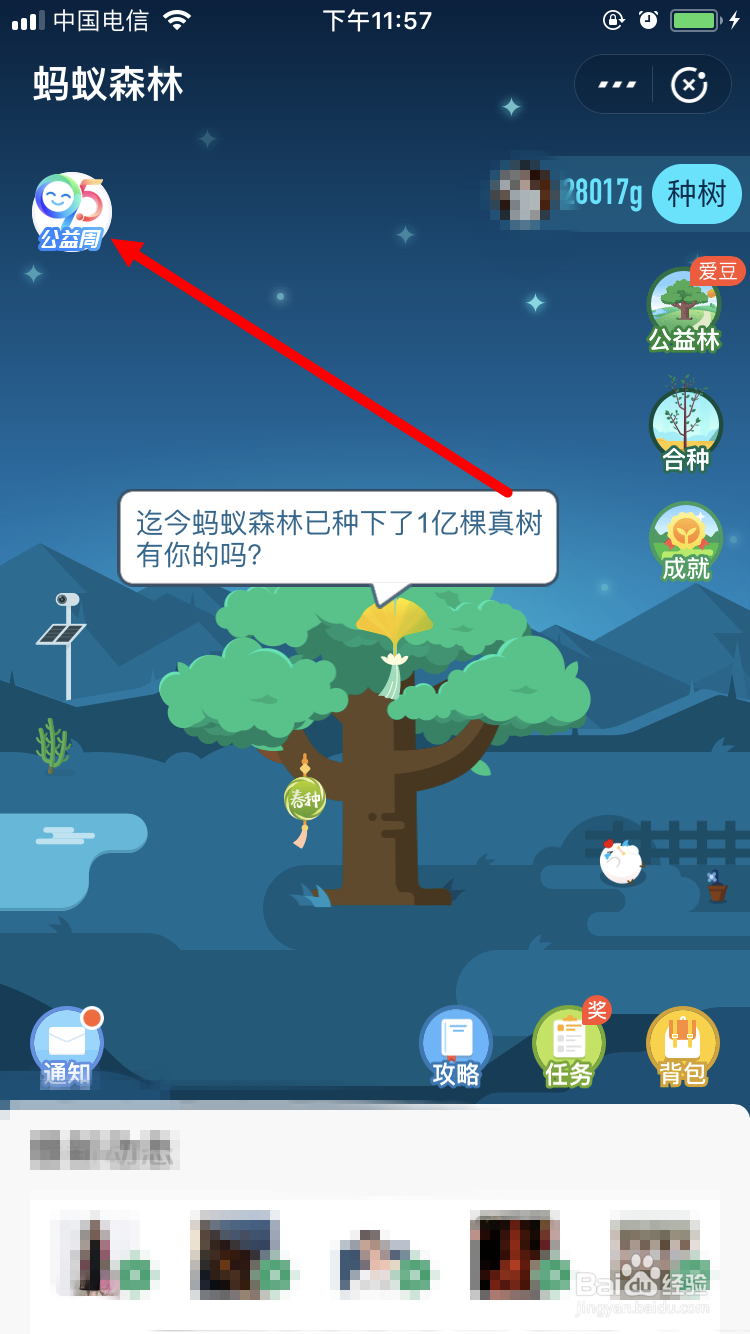 支付宝 95公益周 有什么内容