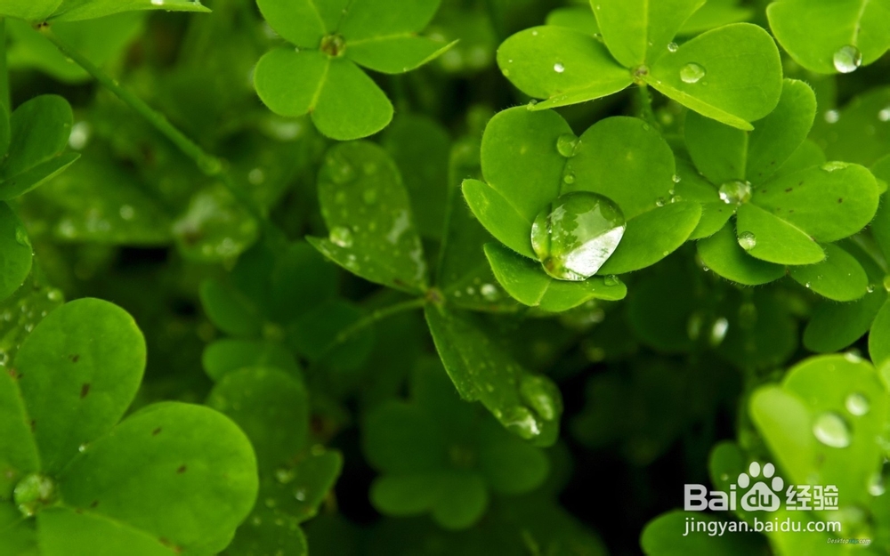 如何预防日光性皮炎