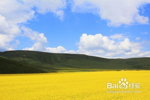 产后如何减肥：产后运动一定要遵循的法则
