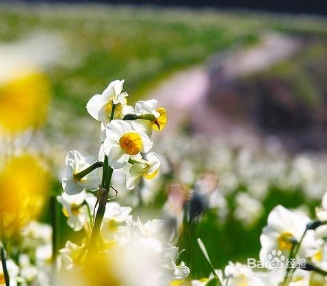 让你一生难忘的话 2