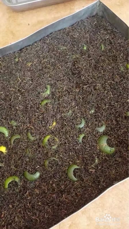 热泵烘干机的特点