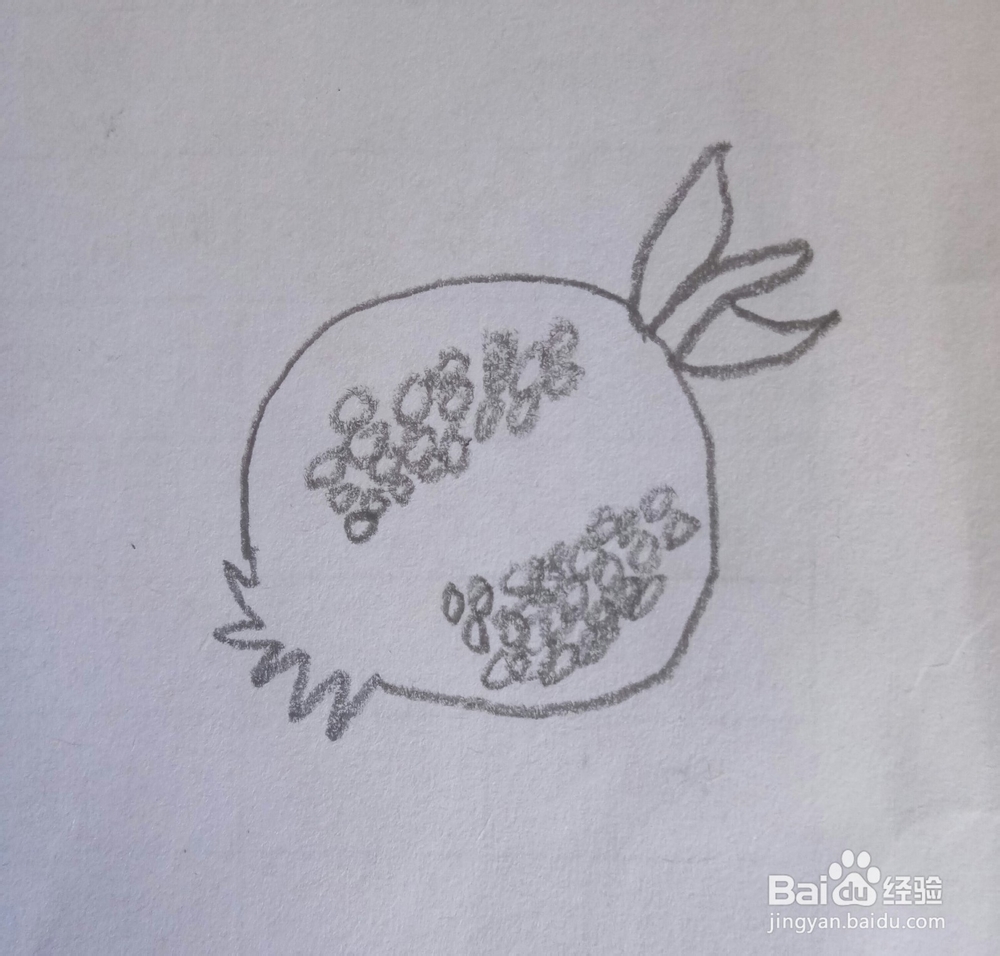 简笔画石榴的画法2