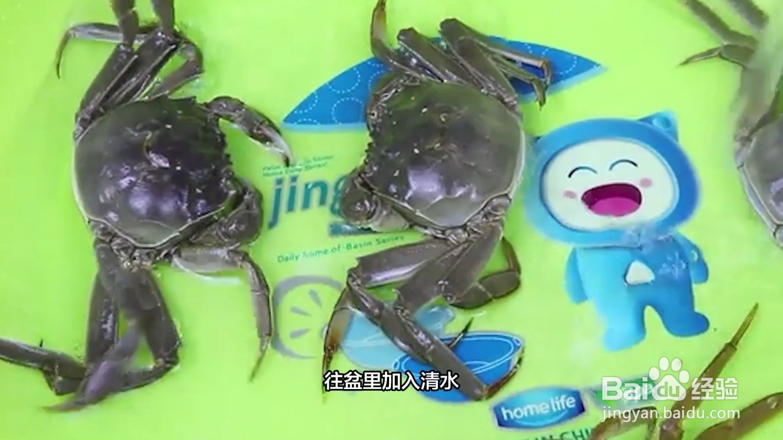 大闸蟹活的如何保存