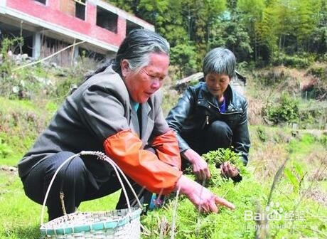 春天外出踏青要注意哪些问题