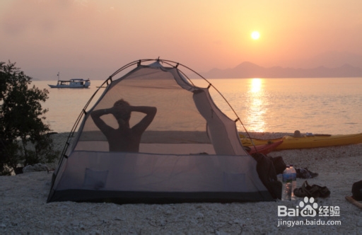 世界湿地日露营地点攻略