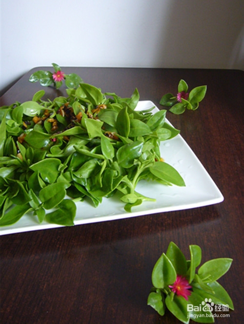 爽口凉菜——生拌穿心莲