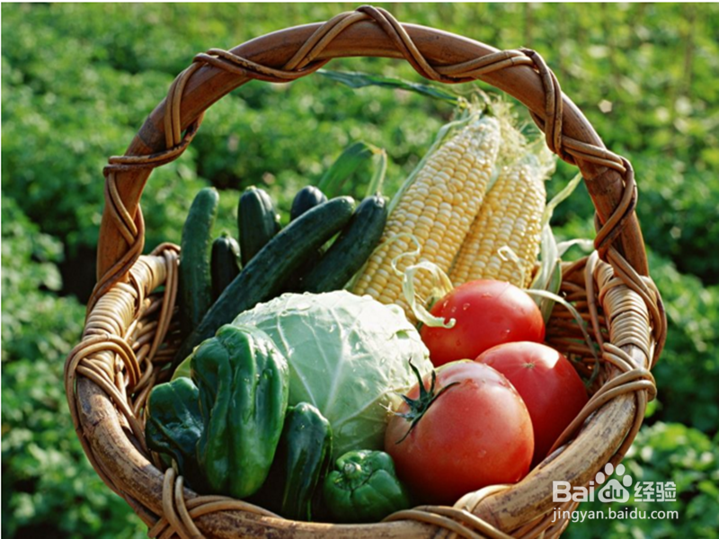 过完年怎么减肥