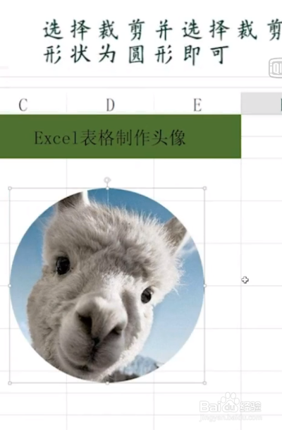 Excel教程之制作头像