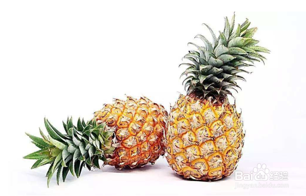菠萝的日常使用小妙招