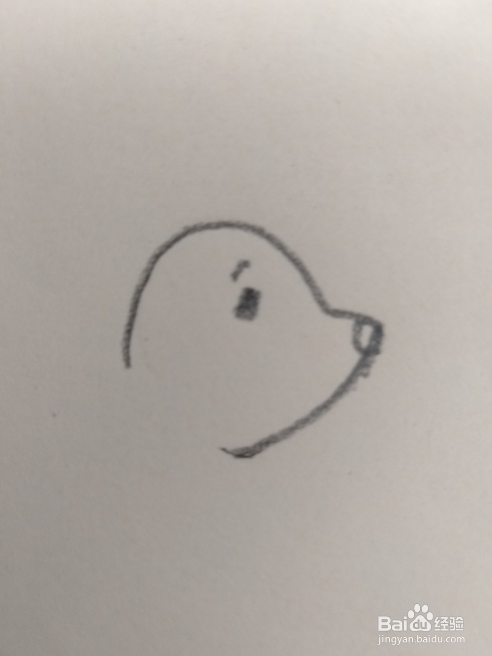 儿童简笔画小海豹画法