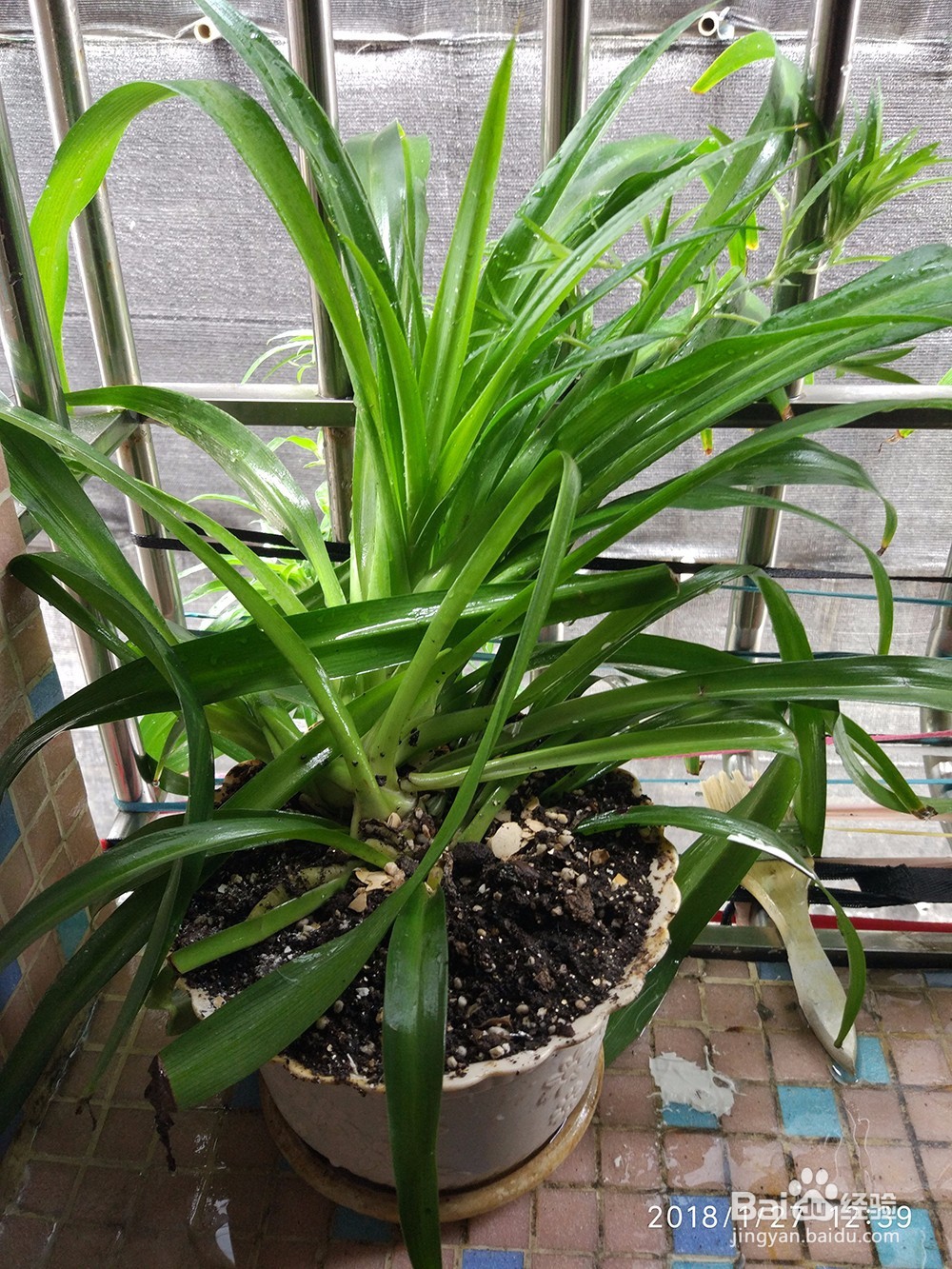 手机拍照如何取消时间水印？