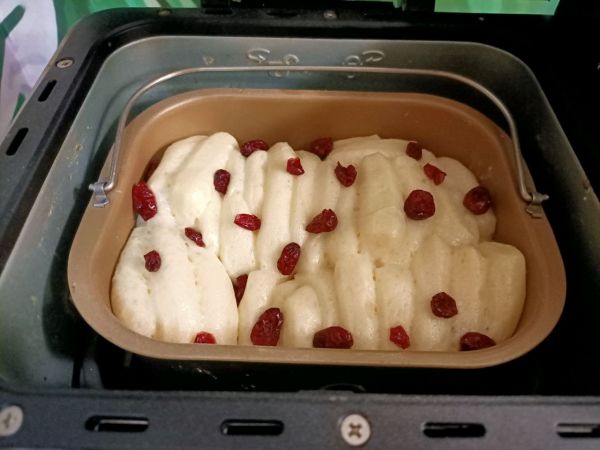 蔓越莓炼乳面包