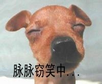 每天学点心理学：[1]一