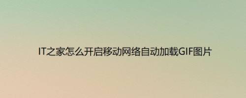 IT之家怎么开启移动网络自动加载GIF图片