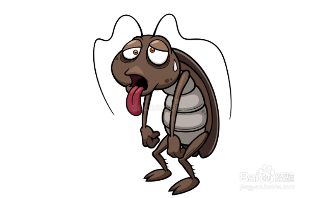 如何灭蟑螂最有效