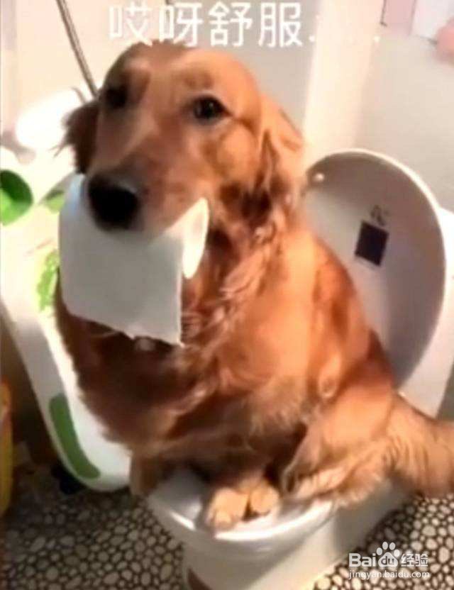 如何避免患上痔疮