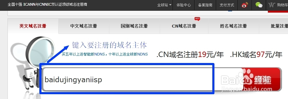 如何申请耐思尼克域名