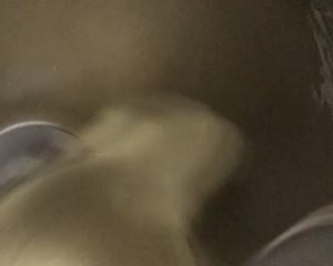 甜蜜的巧克力面包卷