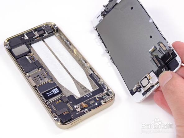 iPhone 5s拆解图